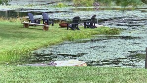 Un entorno tranquilo junto al lago, con dos sillas Adirondack y una mesa de picnic cerca del agua.