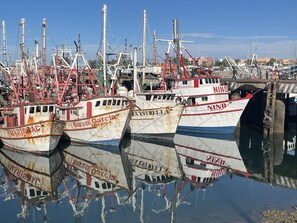Port de plaisance