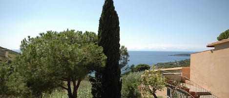 A coastal view with a tall cypress tree, a building with a balcony, and a clear sky.