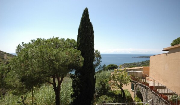 A coastal view with a tall cypress tree, a building with a balcony, and a clear sky.