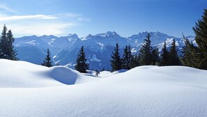 Un paysage montagneux enneigé, avec des sommets couverts de neige et des arbres à feuilles persistantes.