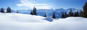 Deportes de invierno
