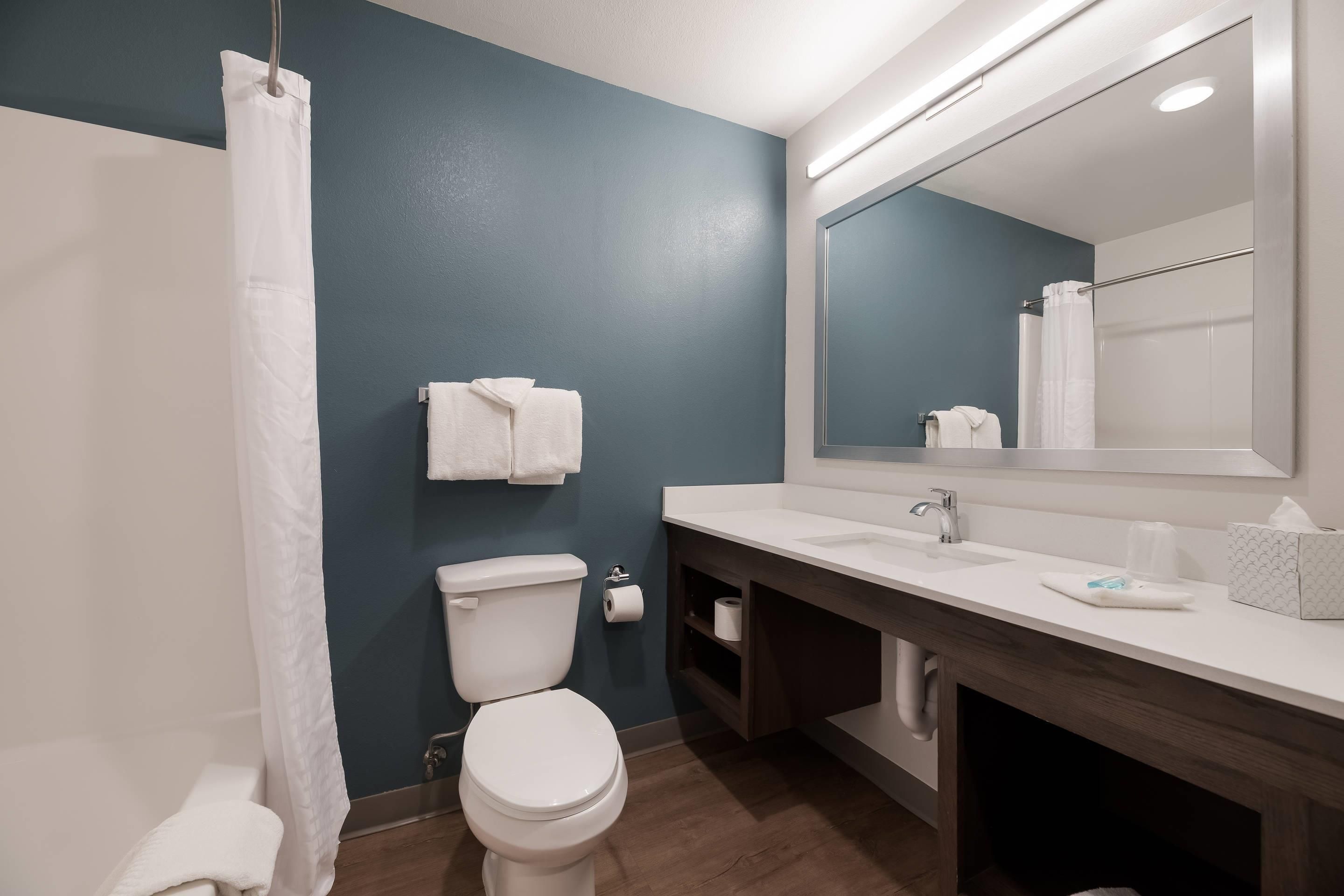 A modern bathroom with a toilet, sink, and mirror.