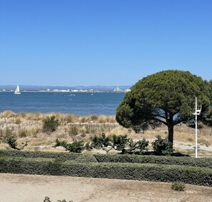 A coastal landscape with a prominent tree, a clear sky, and a distant view of a bridge and sailboats.