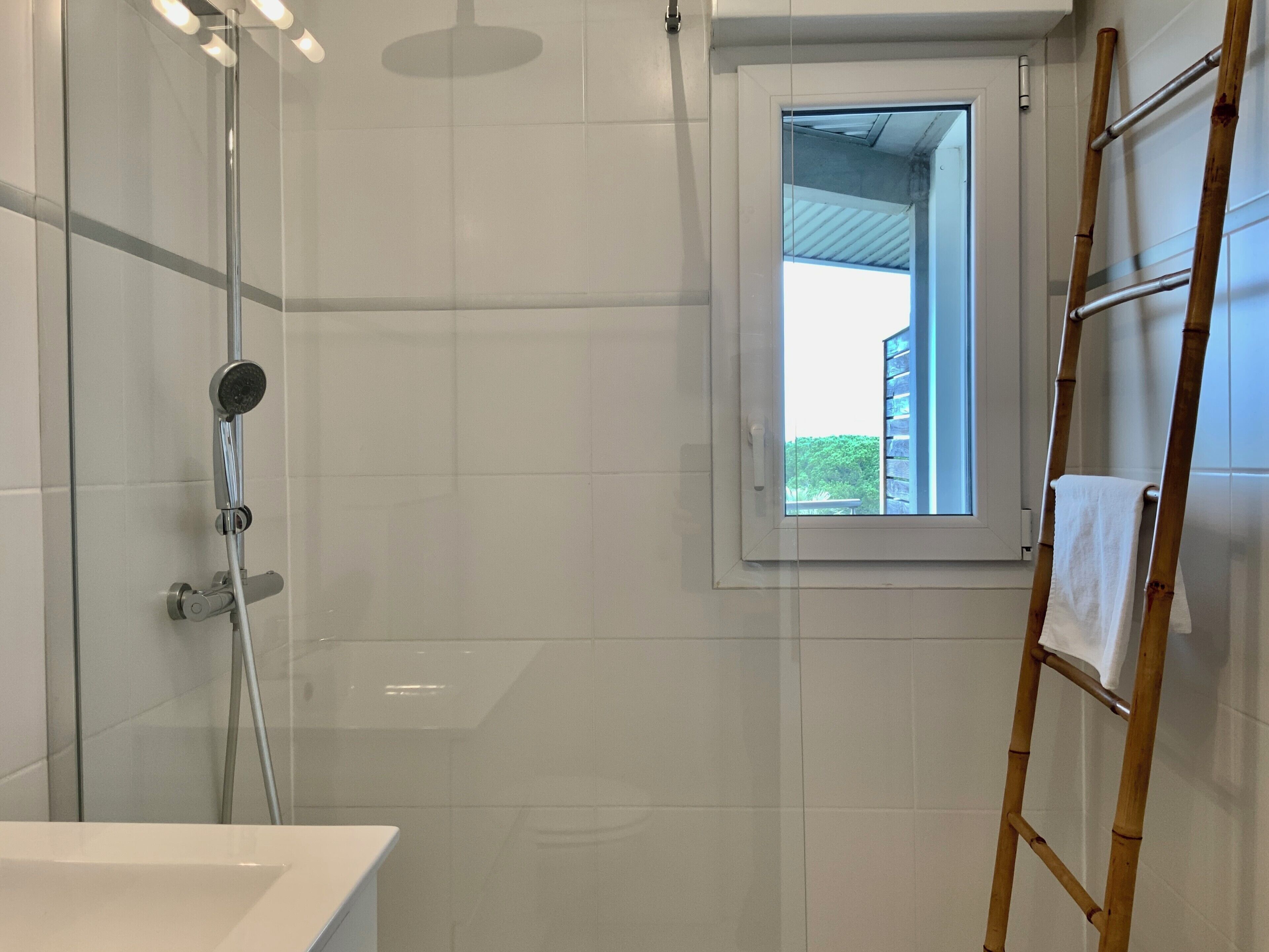 Shower, hair dryer, towels