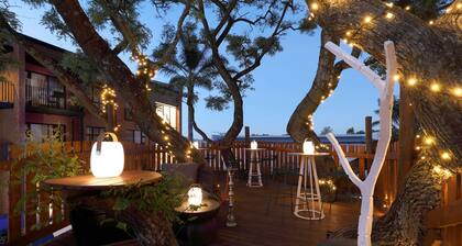 Hyatt House Johannesburg, Sandton