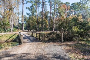 Property grounds - The Hideaway - Four beach cruiser bikes included! (Hilton Head Island)