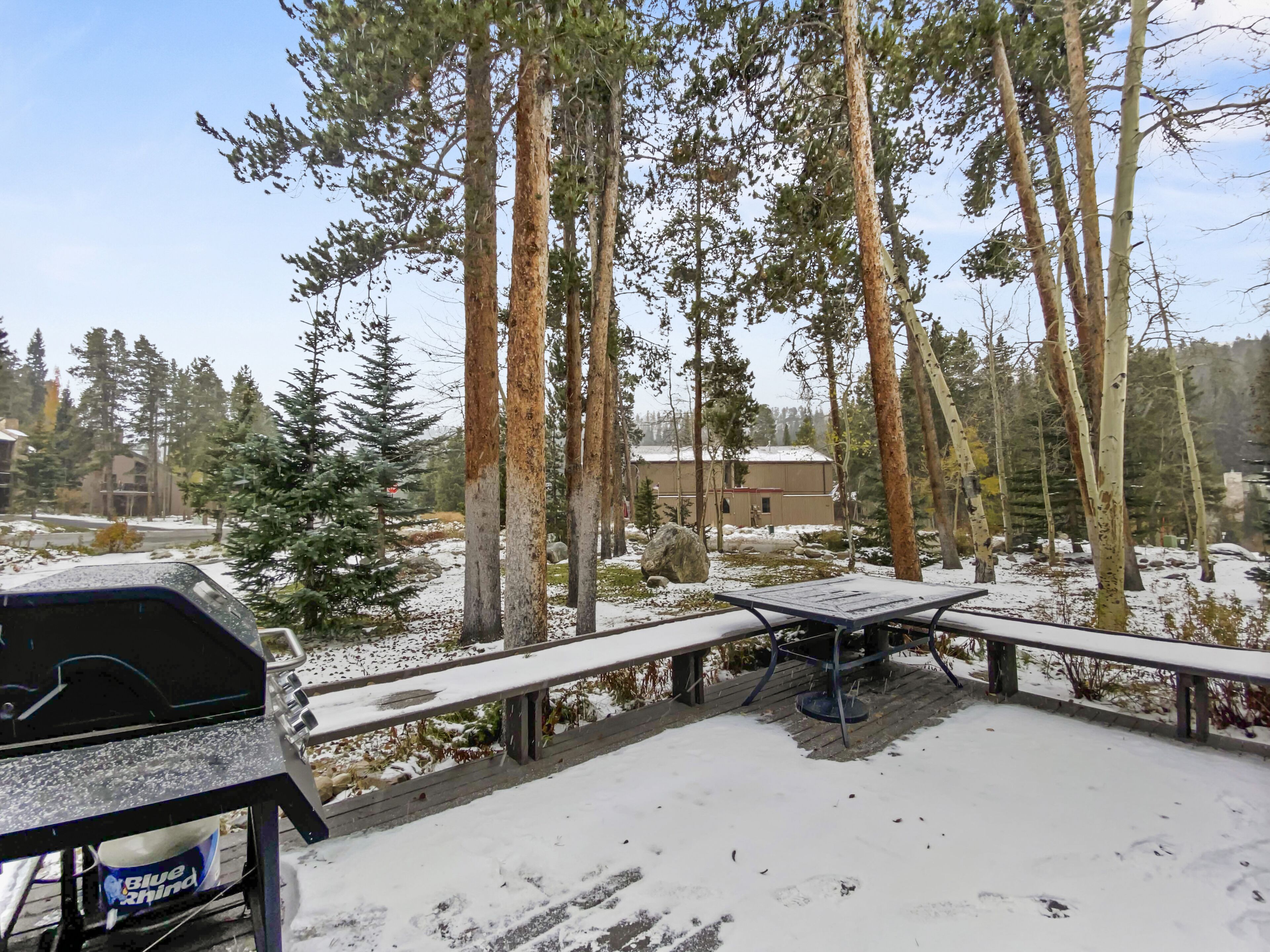 A snow-covered deck with a grill and a picnic table, surrounded by tall trees and a building in the background.