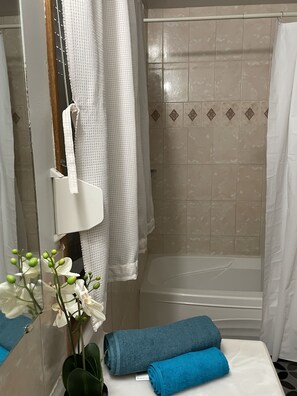 Duschwanne, Haartrockner, Handtücher, Seife