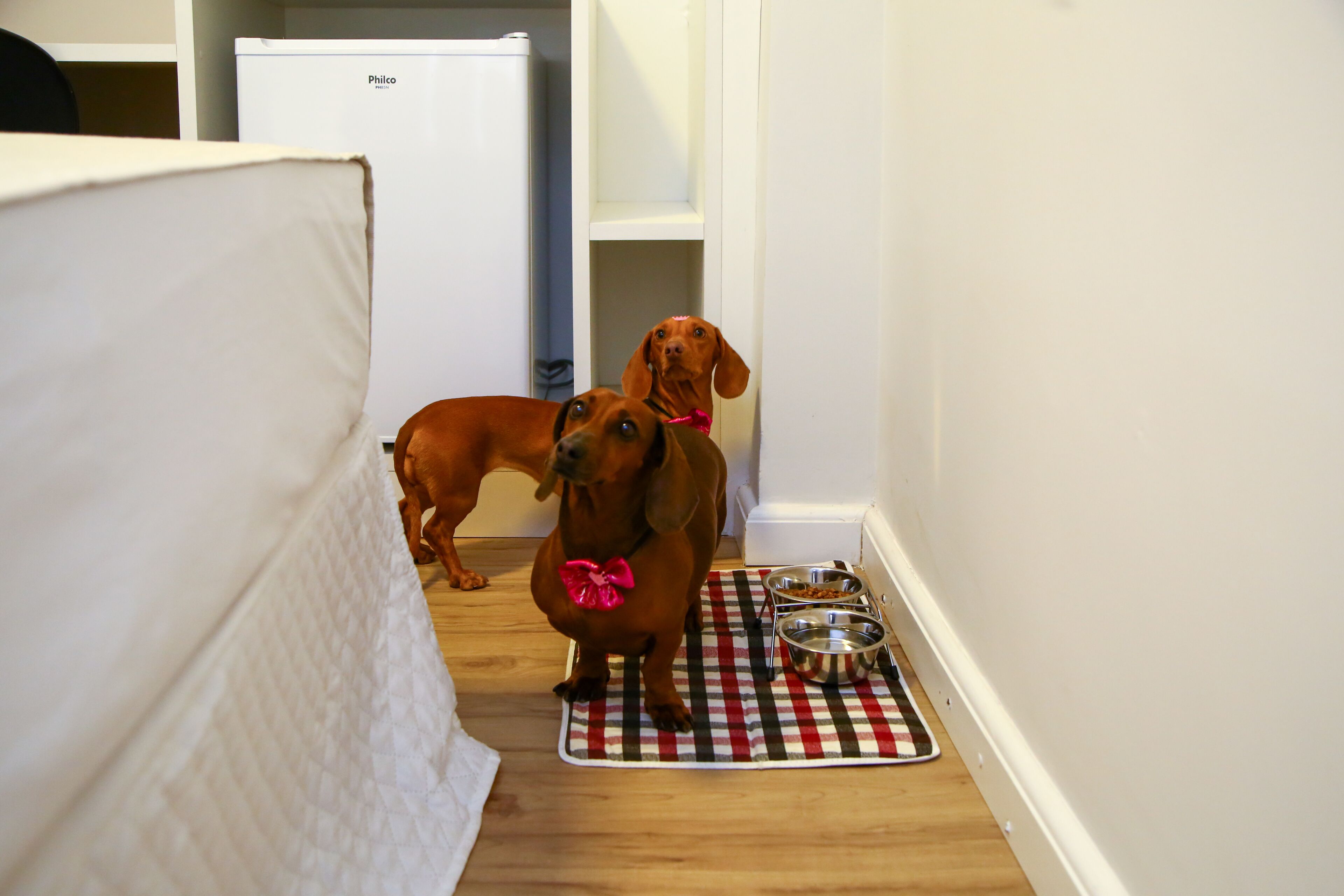 Ein Flur mit einem weißen Sofa, einem weißen Kühlschrank und einem Hund, der auf einer karierten Matte mit zwei Metallnäpfen steht.
