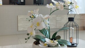 Zona de recepción con mostrador, cartel de Transamerica y una orquídea en maceta.