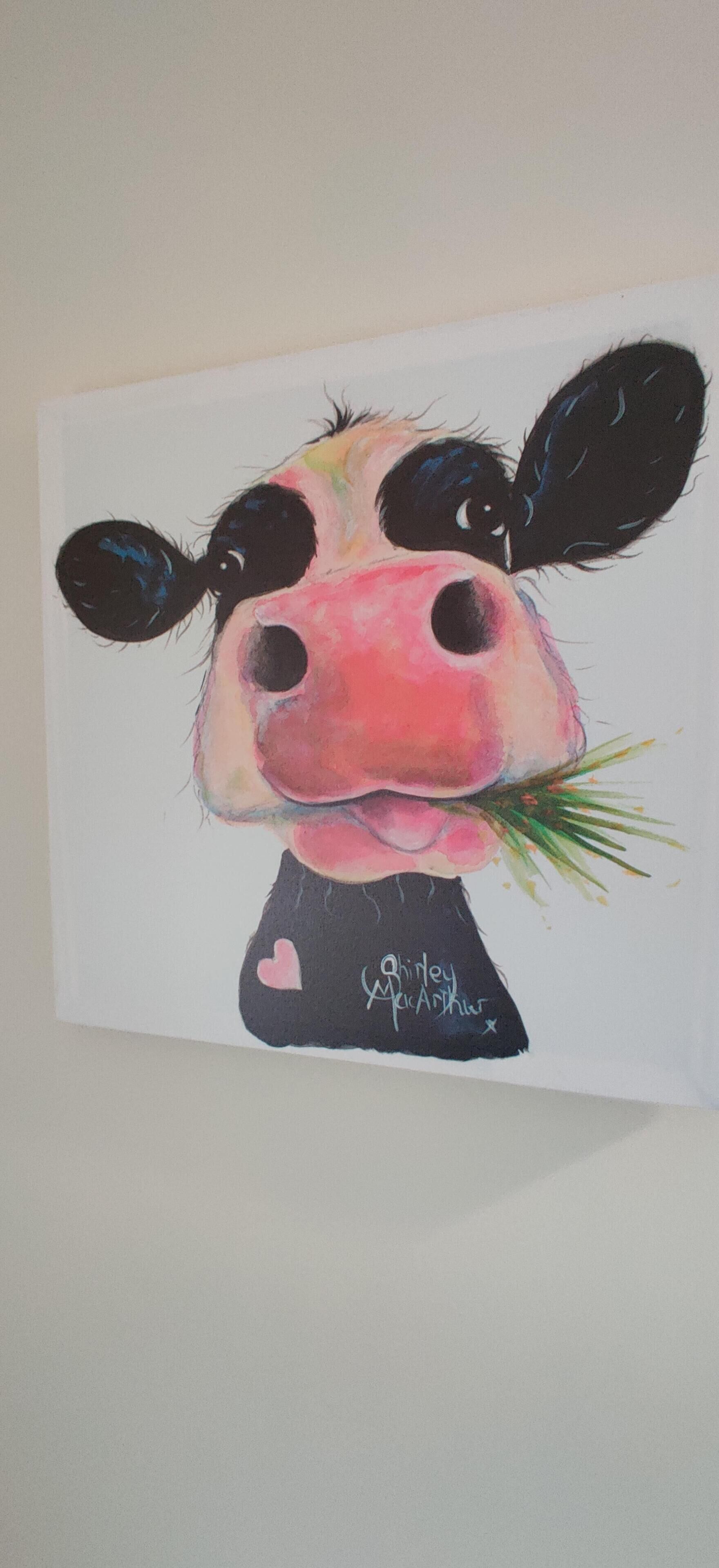 Un tableau représentant une vache avec un nez rose et une tête noire et blanche, tenant une touffe d’herbe.