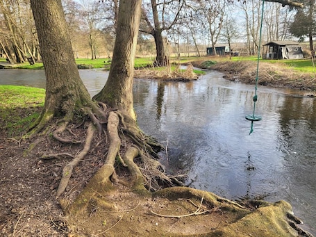 House | Property grounds