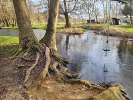 House | Property grounds