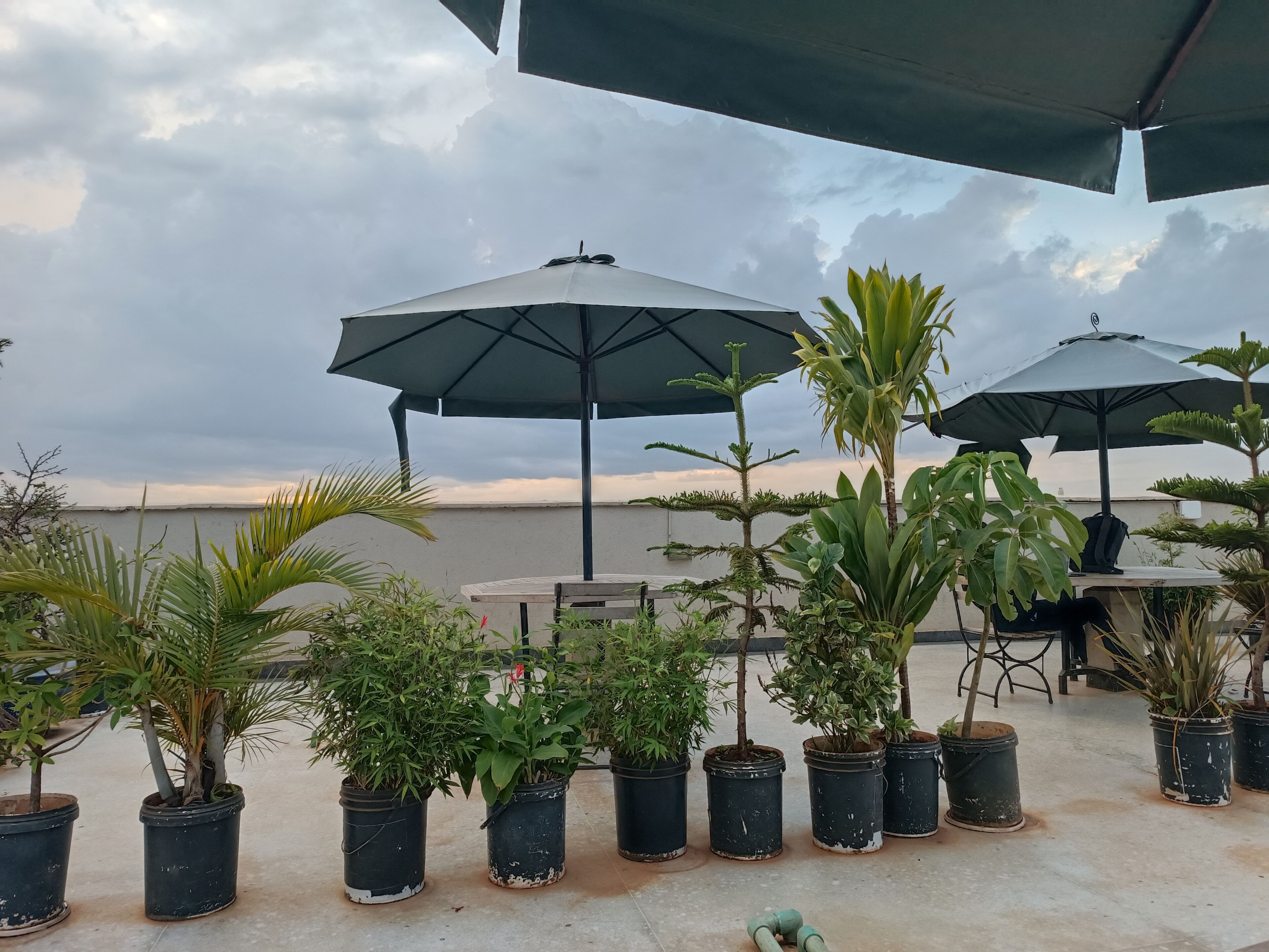 تناول الطعام بالخارج