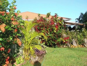Guests can enjoy a serene garden setting with a variety of plants and flowers, including a prominent palm tree.