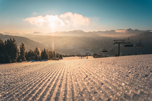 Image sans description, 1 de 34, bouton