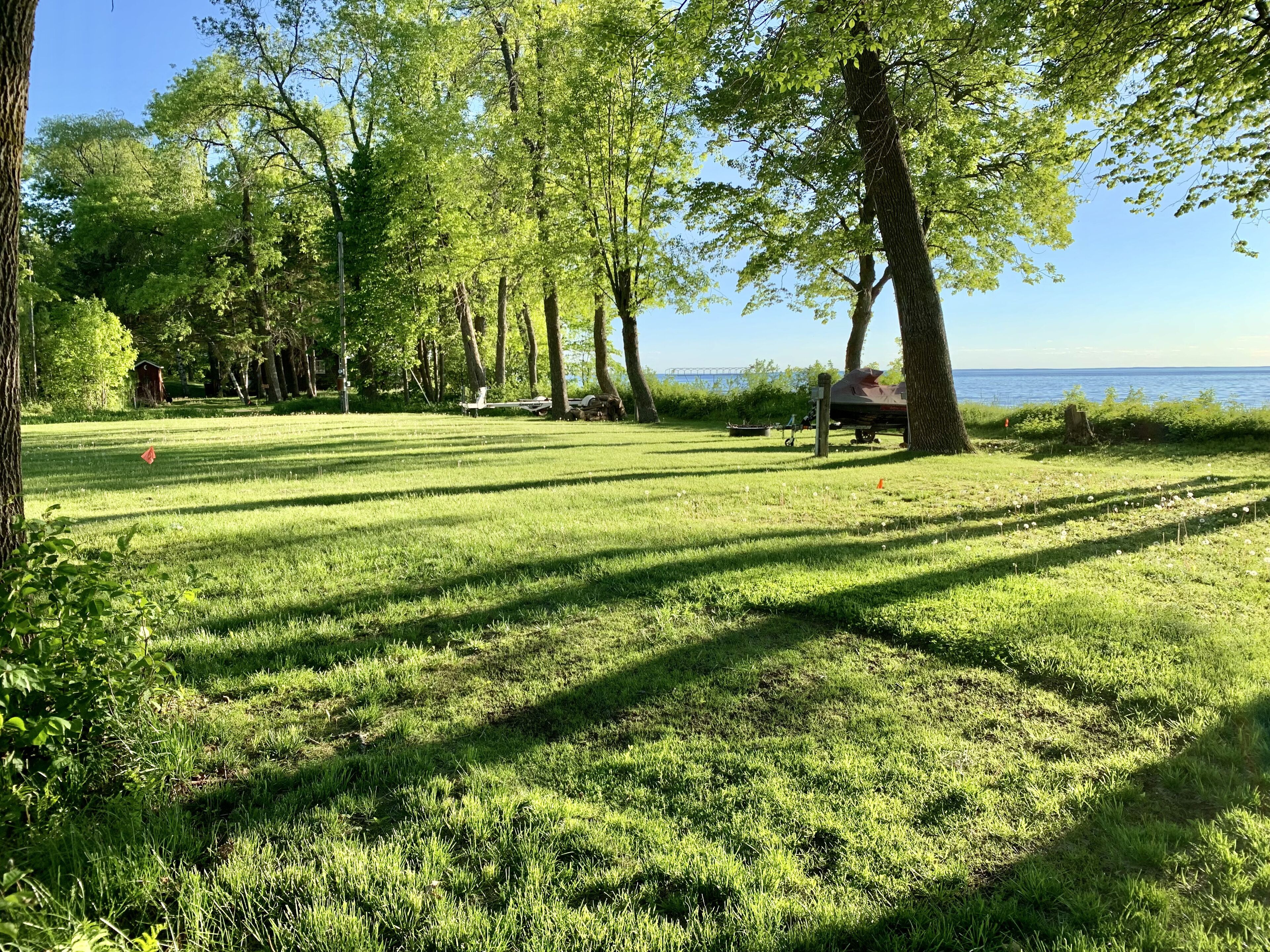 A grassy park area with trees and a bench.