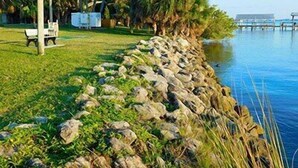 Propiedad frente al agua con muro de piedra, zona verde, palmeras y un banco.