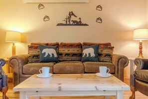 TV, fireplace, DVD player, books