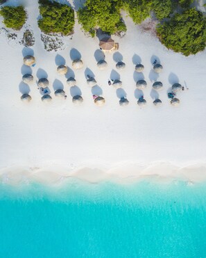An aerial view of a beach with several large umbrellas and lounge chairs arranged in rows.