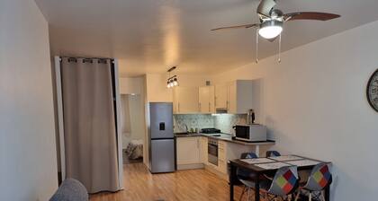Pleasant Apartment T2 45M2 in the heart of the 1st spa town Dax
