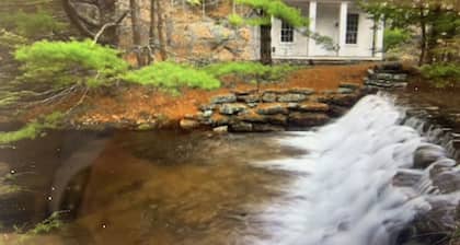 Bears Boards n' Boots ~ Peaceful Pocono Pause