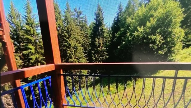 A wooden deck with a blue railing and a view of trees and grass. - Duplex Apartment "The 529  (Bourg-Saint-Maurice)