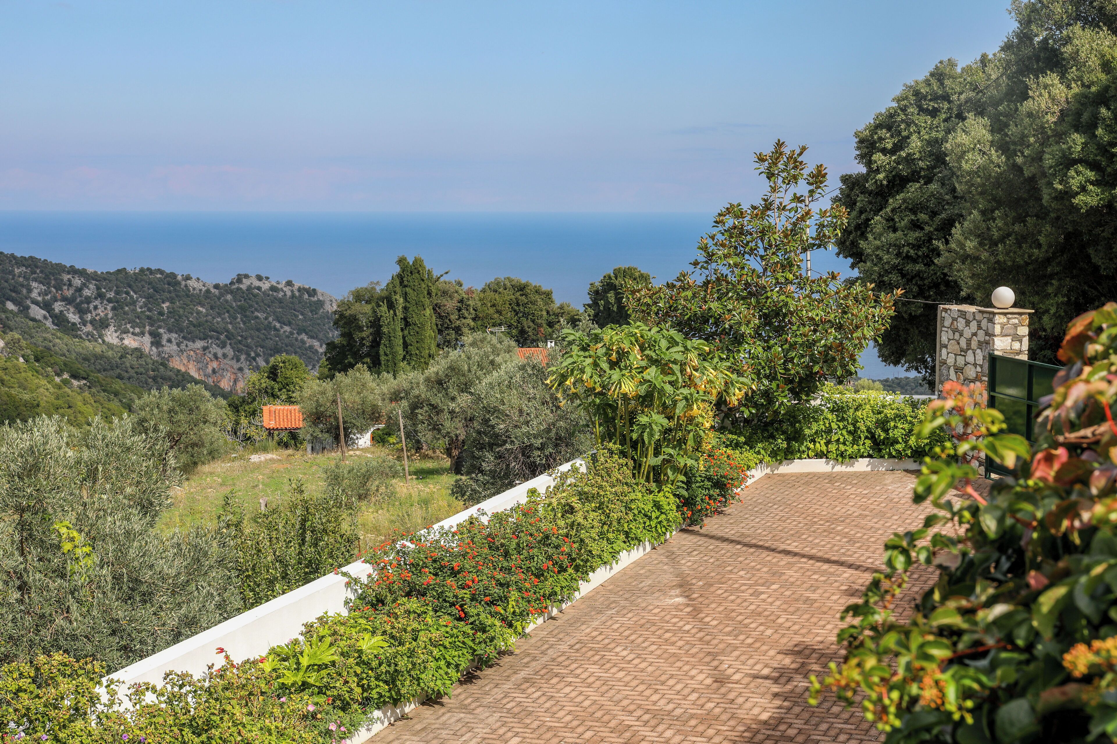 Standard Villa | View from room