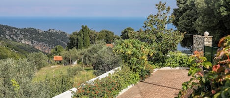 Standard Villa | View from room