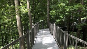 Un sentiero in legno con ringhiere metalliche, immerso tra gli alberi.