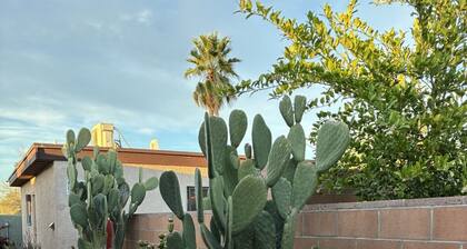 Desert Morada Casita N- 1 BED 1 BATH Dog Friendly maximum 2-NO OTHER PETS
