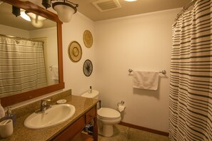 Combined shower/bathtub, hair dryer, towels, soap