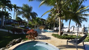 A pool area with a tiled edge, palm trees, and a bench.