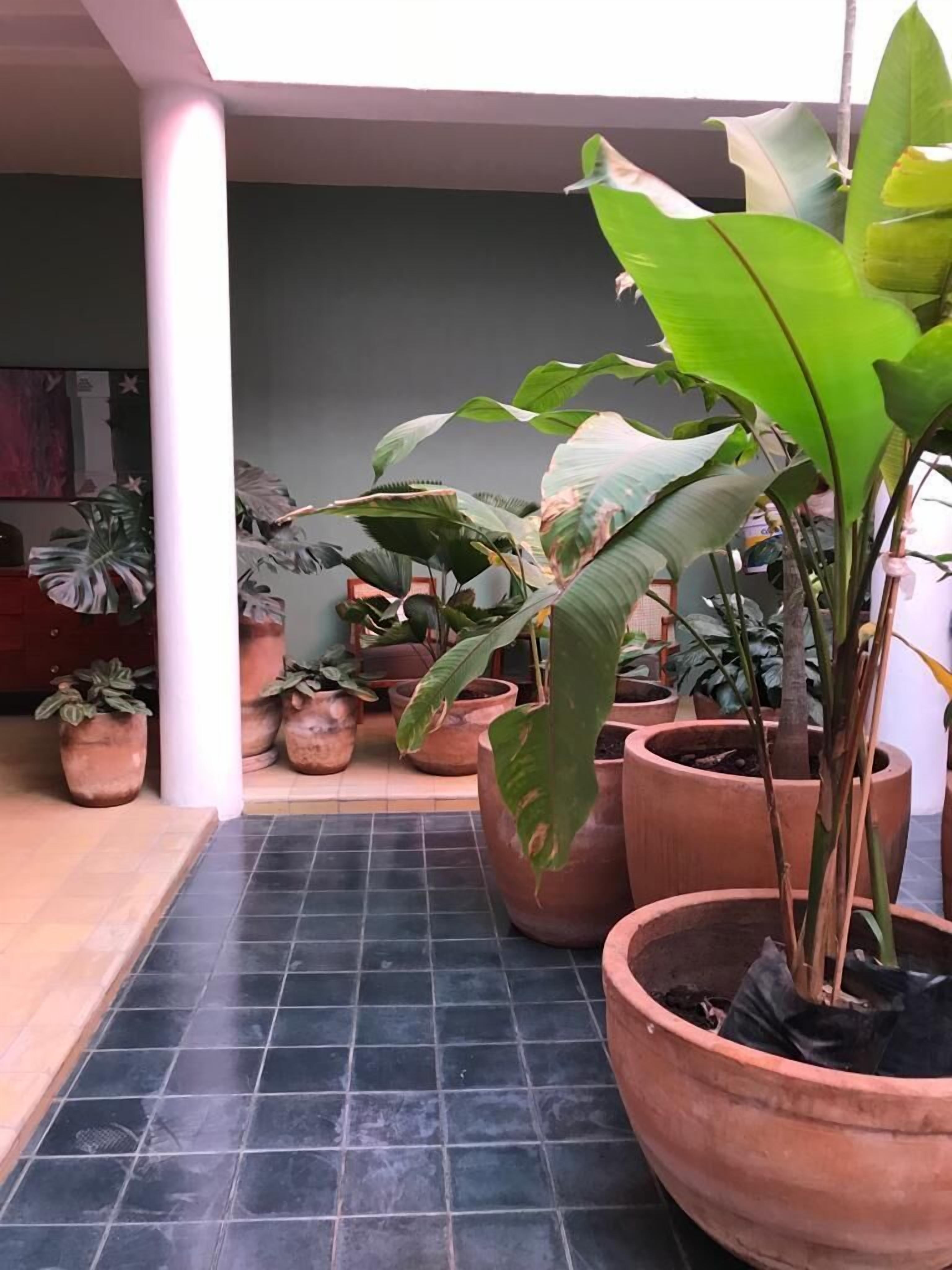 Foto - Mesón San Felipe