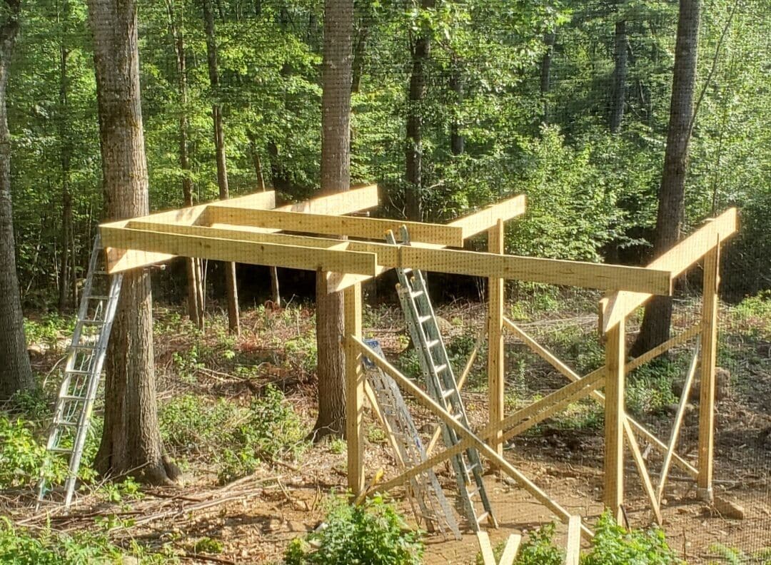 A wooden structure in a forest.
