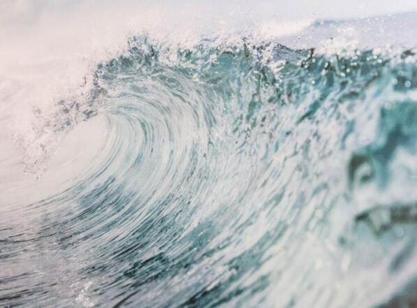 Unclassified image, 1 of 28, button