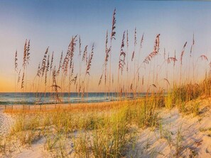 A beach with tall grasses and a clear sky. - Villa Maybach, Whg. 3 - Villa Maybach (Sylt)