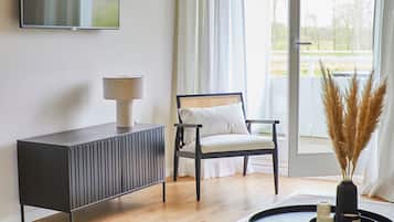 Fernseher, Stereoanlage