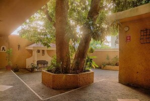 Standard Double Room, 1 King Bed | View from room