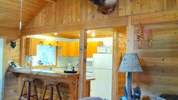 Smart-TV, Kamin