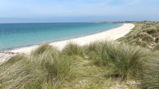 Une plage de sable blanc bordée d’une eau d’un bleu cristallin. On aperçoit une zone herbeuse au premier plan.