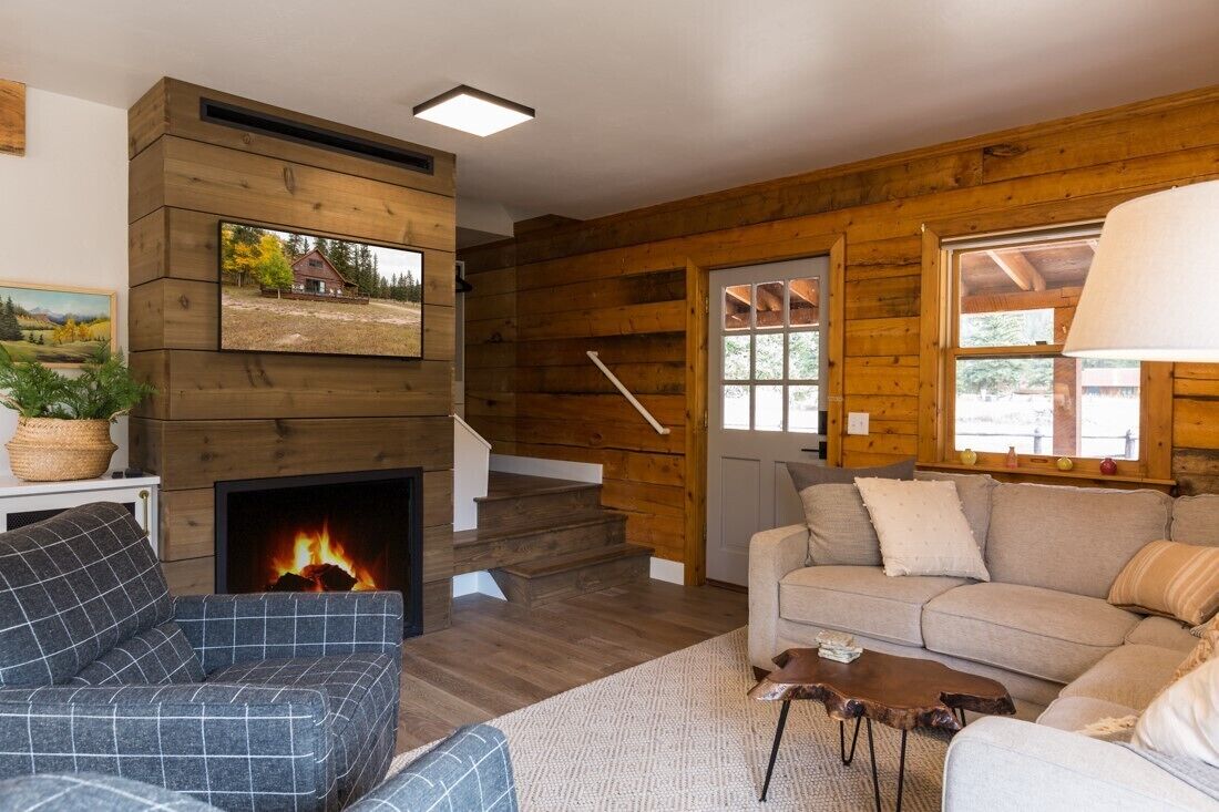 Télévision, cheminée, lecteur de DVD, livres