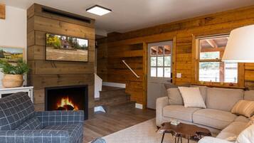 TV, fireplace, DVD player, books