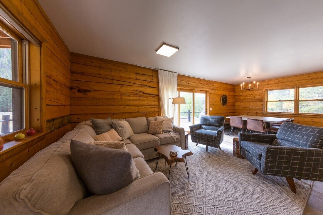 电视、壁炉、DVD 播放器、书