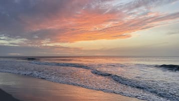Plage à proximité, chaises longues, serviettes de plage