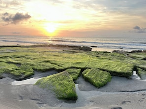 Plage à proximité, chaise longue, serviettes de plage