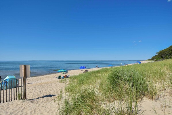 Playa en los alrededores 