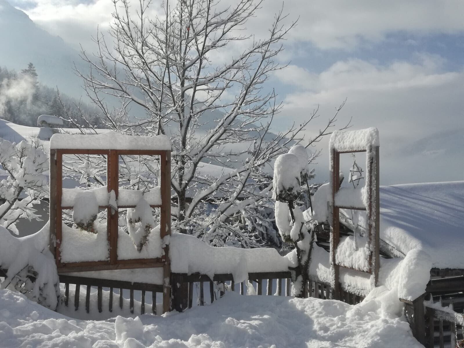 Área da propriedade