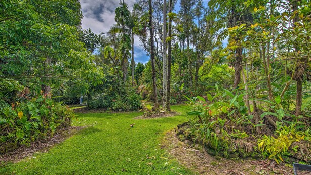A lush garden with a variety of trees and shrubs, a well-maintained lawn, and a clear sky. - Cozy Pahoa Hideaway Near Black-Sand Beaches! (Pahoa)